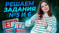 БОЛЬШАЯ практика по заданиям №5 и 6 | Биология ЕГЭ для 10 класса