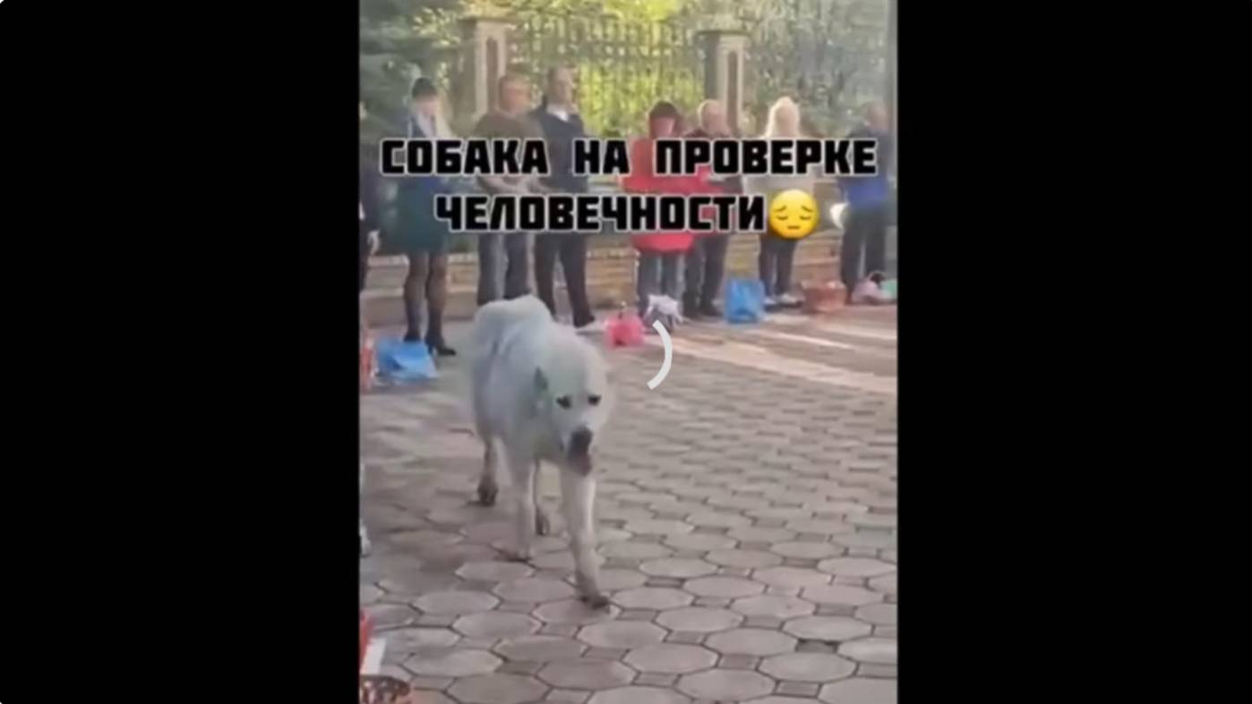 МНОГО ЛЮДЕЙ,МАЛО ЧЕЛОВЕКОВ...