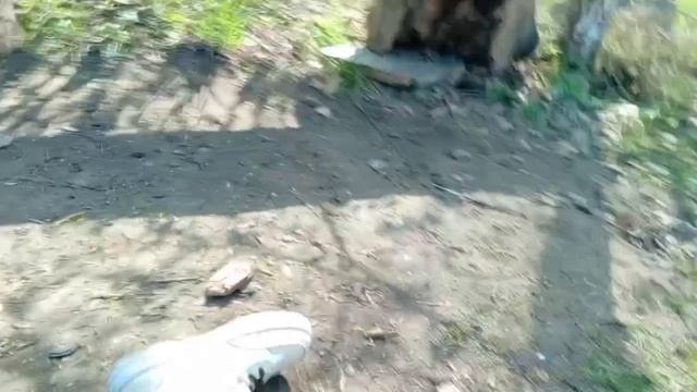 трейлер 3 акта в реальной жизни скулбой