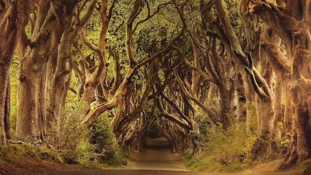 Celtic Mystique Music. Beautiful, Relaxing and Meditative Music by E.F. Cortese.