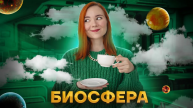 Биосфера: все, что нужно знать для задания №18 ЕГЭ по Биологии | Умскул