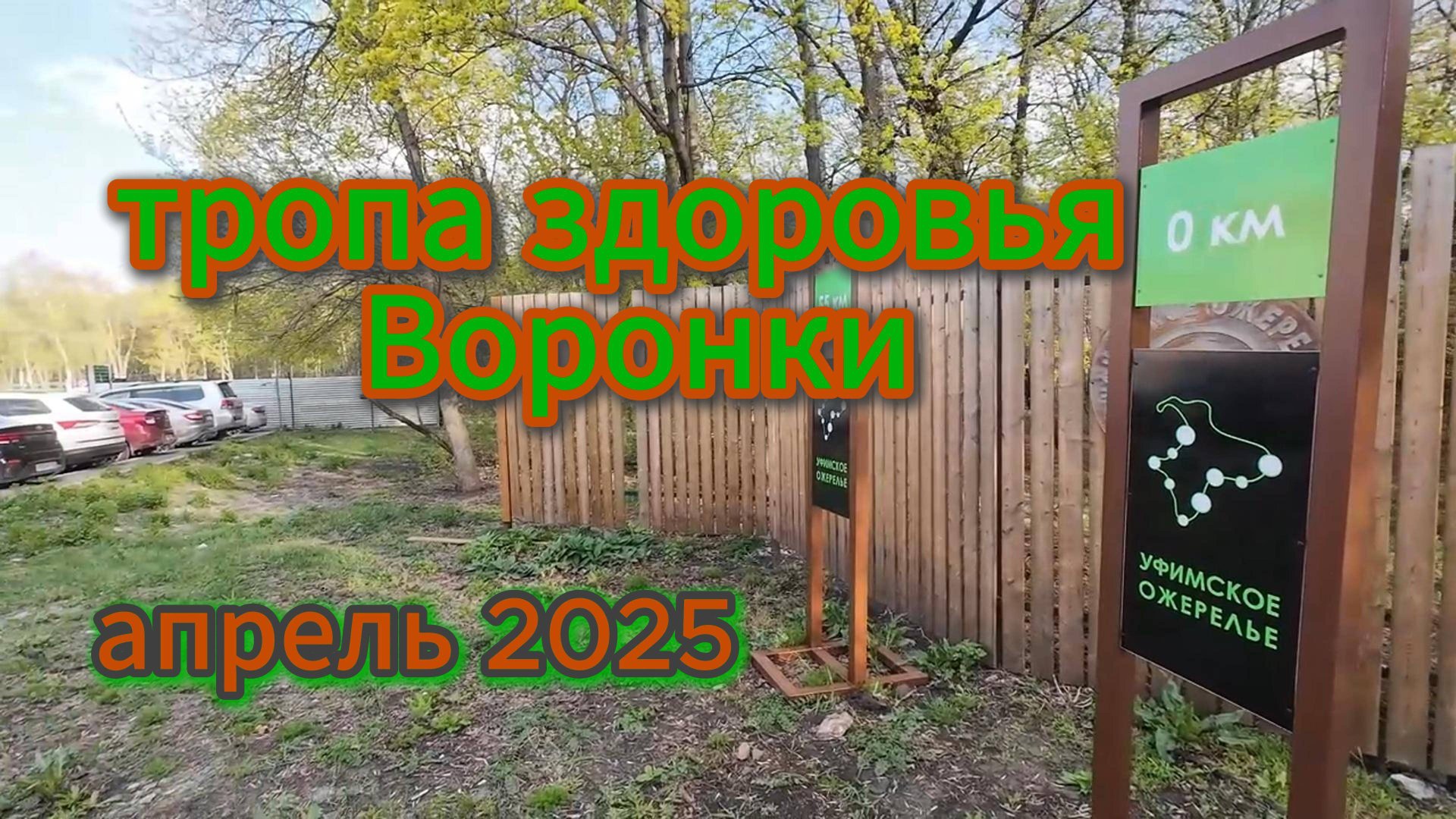 Прогулка по тропе здоровья Воронки, утро в весеннем лесу