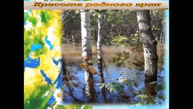Международный день Земли (Боктор)