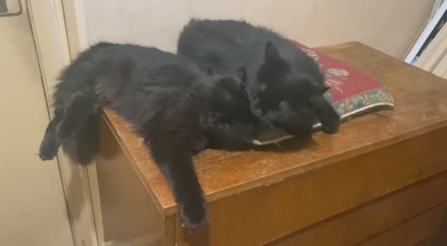 Надо умываться.