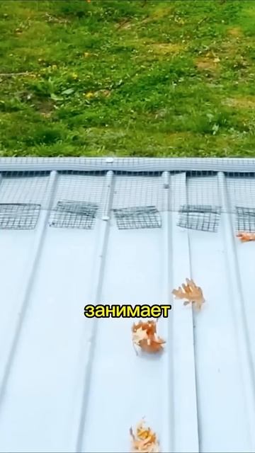 Самый дешевый способ #строительсводома #стройка #ливн?