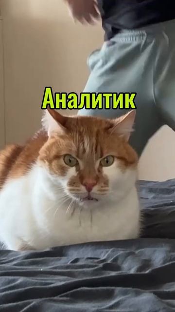 🙃 «Внедрим CRM — и бизнес сам всё сделает!»
Спойлер: нет.