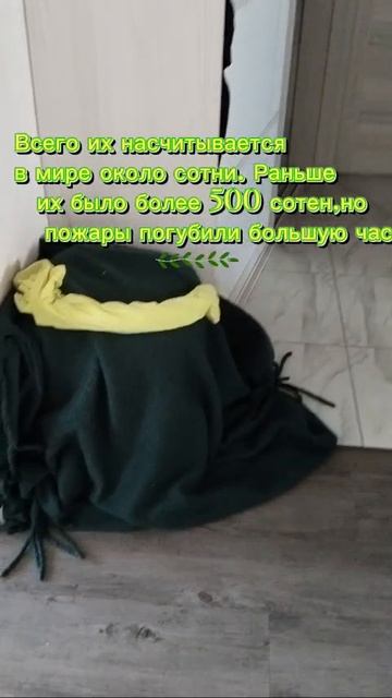 Часть 2