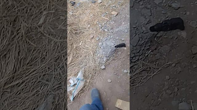 доделываю сарай из поддонов