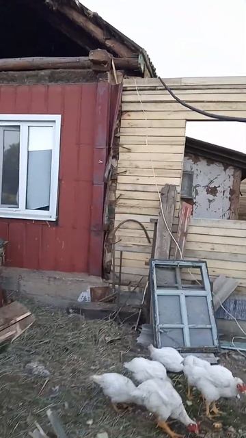 пристрой крыша делаем сами