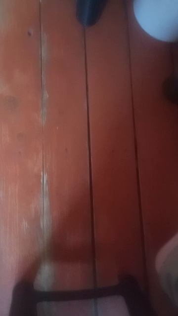 1000027290.mp4