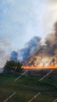 ОГНЕННЫЙ КАМЫШ: в городе Калач Воронежской области полыхал камыш. Кадры впечатляют. 🔥