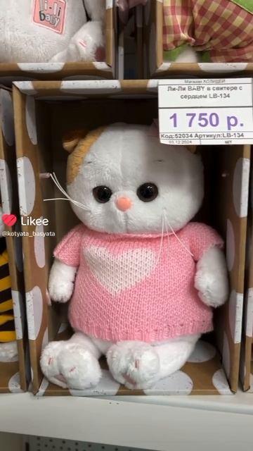 КОШКА ЛИЛИ #лили #басик #волшебные будни