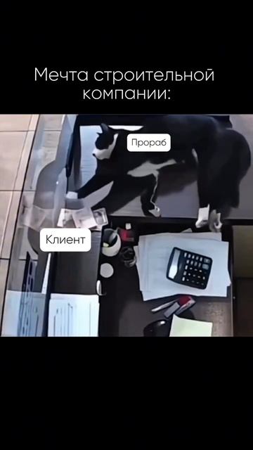 О чем мечтаешь ты?