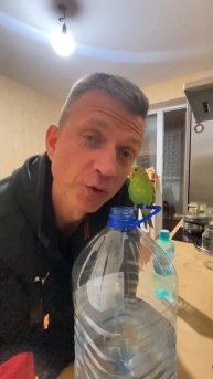 Мой любимчик
