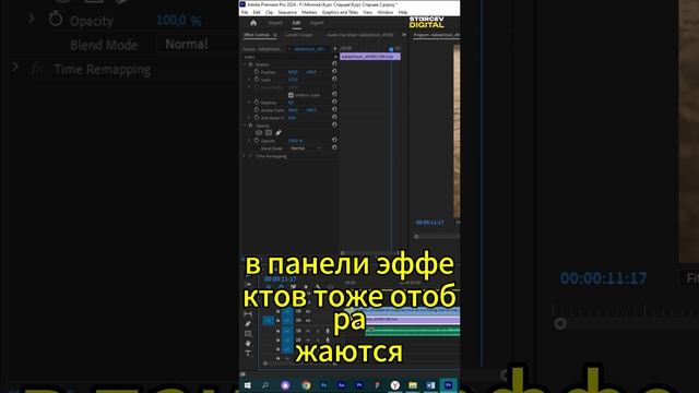 Курс по Видеомонтажу