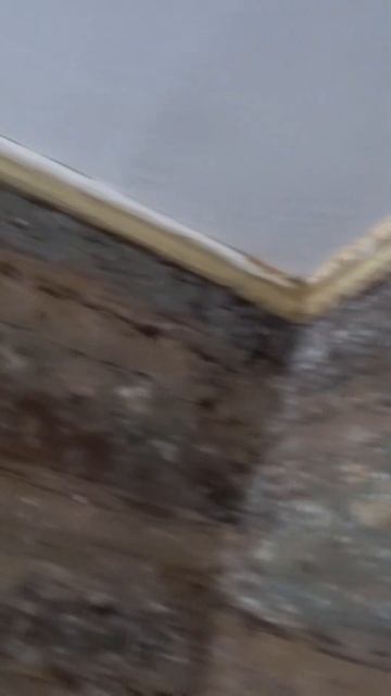 Разбираем второй этаж, ремонт в старом родительском д?