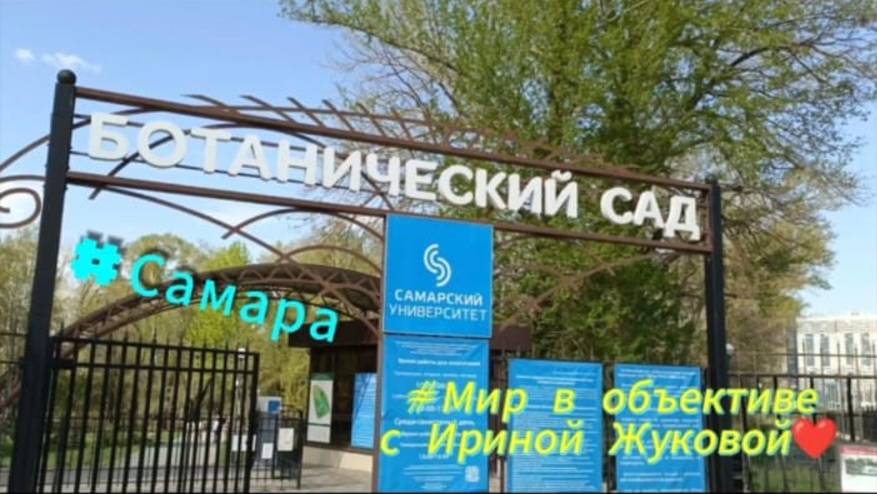 #лайфхак. как отдохнуть на природе, не потратив не копейки?!
Самара/Ботанический сад/22.04.2025/