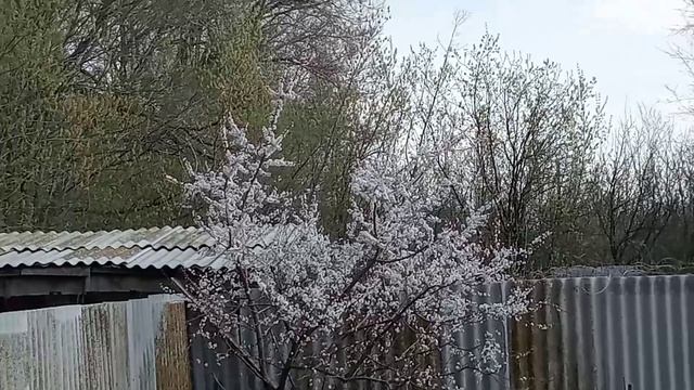 Открываем дачный сезон!