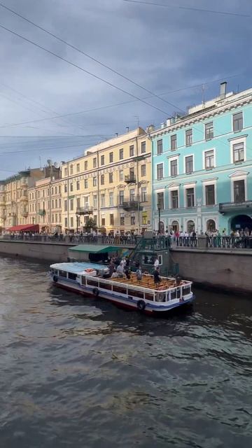 🏠 Крыши НЕВСКОГО ПРОСПЕКТА #спб #петербург #санктпете