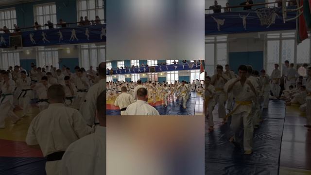Кудо-аттестация Владивосток.mp4