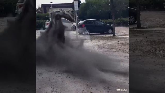 1000005985.mp4