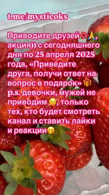 ТГ канал