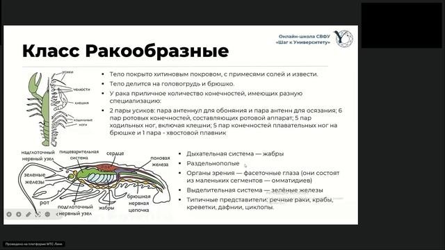 Биология (2 группа) 21.04.2025