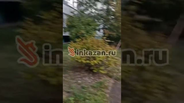 Рабочие компании сына депутата Госдумы сбрасывали му?