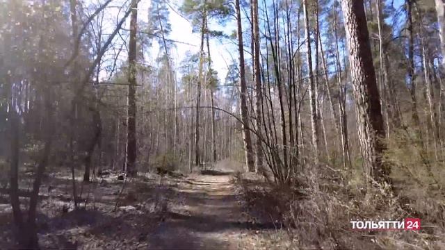 "Специальный репортаж" Особый противопожарный режим 23.04.2025