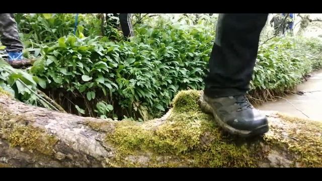 Пешеходный поход  в районе хутора Кизинка