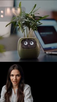 Умный горшок для цветов. Товары из Китая