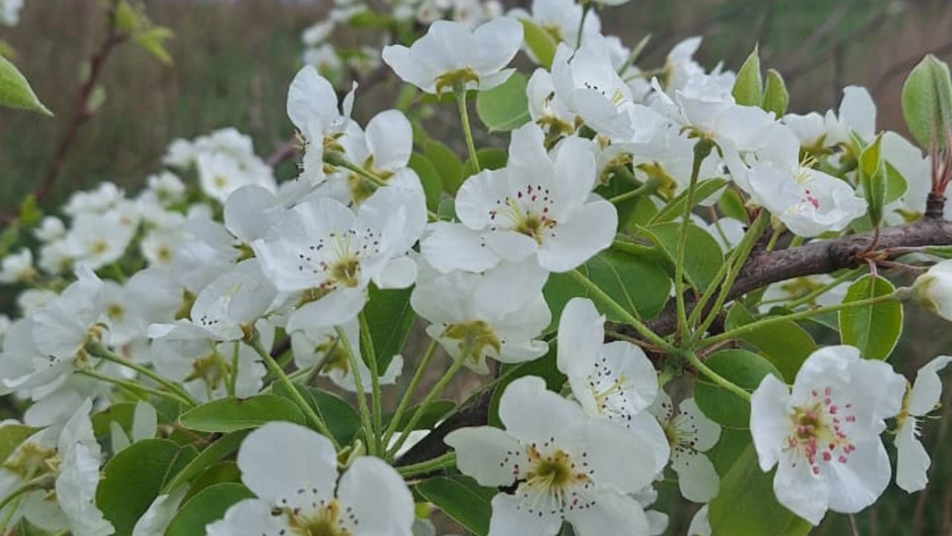 Наполнение зрения.