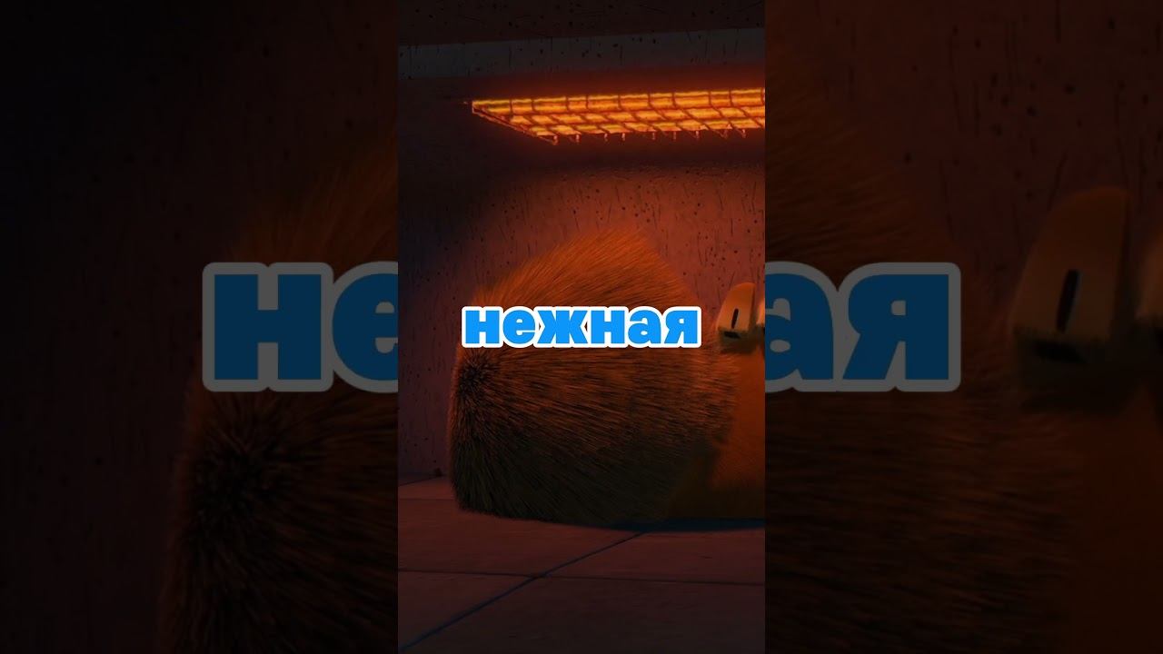 Наш Марти исчез #Shorts #YouTubeShorts #Мадагаскар #Madagascar #DreamWorks #Мультфильм #Анимация