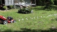 Газонокосилки DDE. Серия 7. Уборка опавшей листвы газонокосилкой.