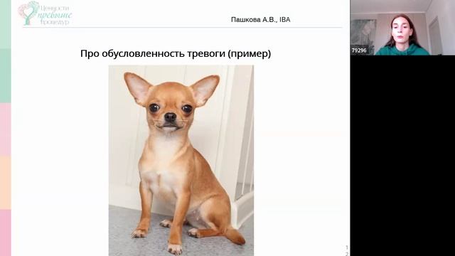 Давайте поговорим о наших чувствах: как понять тревожность с точки зрения поведенческого анализа