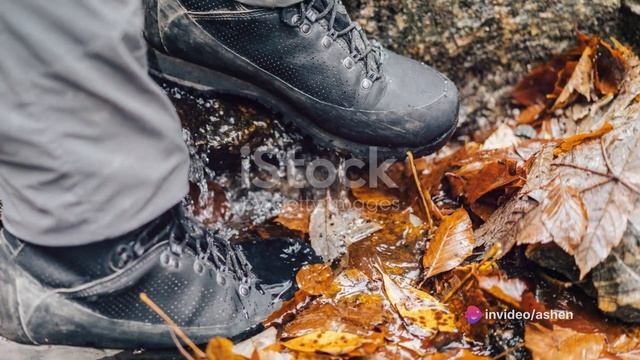 Adidas Hiking Boots | A Comprehensive Review