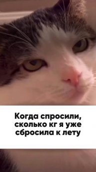 До лета осталось 38 дней…