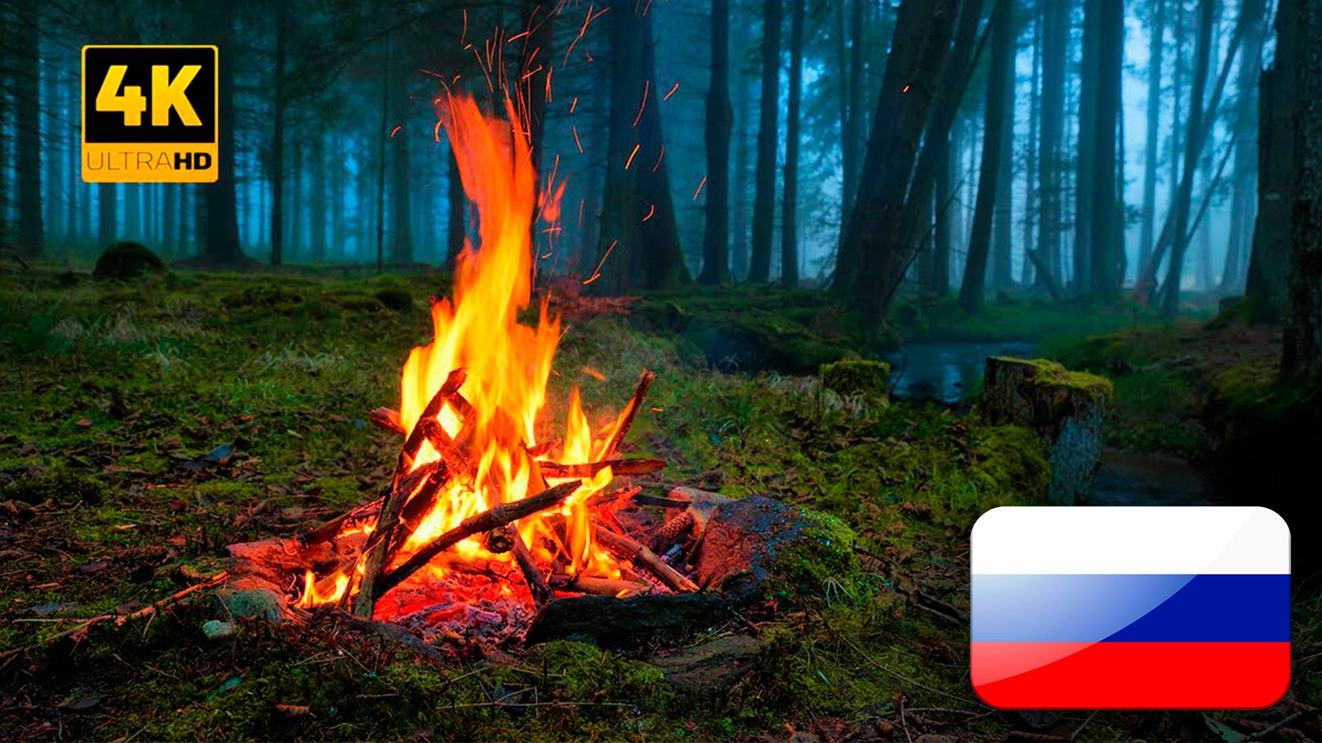 Fireplace 4K / Костер 4К / Звуки Леса и Костра