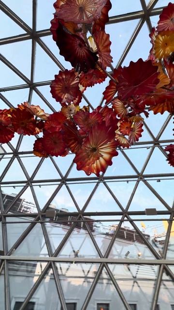 Мои любимые крыши в СПБ.  Красиво и не многолюдно. Тури?
