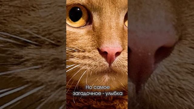 Мона Вылиза! Как вам такой вариант картины?