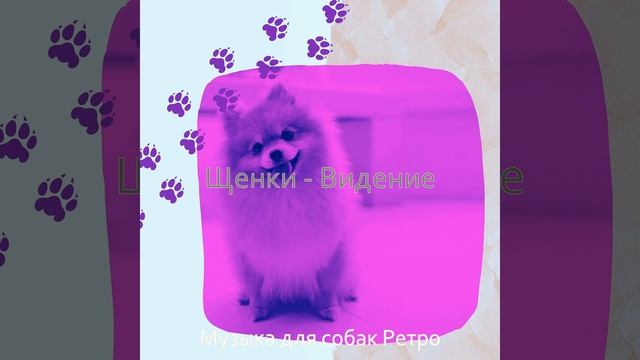 Моменты (Одинокие собаки)