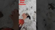 #ракушка #анапа #море #Мореее