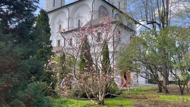 Новоспасский монастырь весной