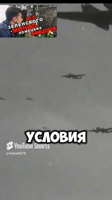 Где и кем воевал дед Зеленского.
