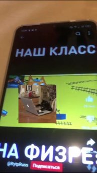 Три скота