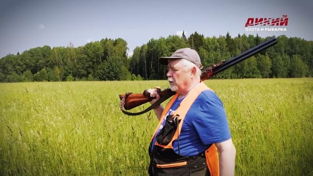 Собака на охоте. Русский спаниель