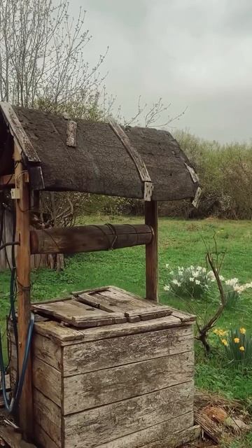 VID_20250423_185105_812.mp4