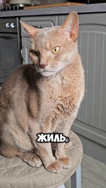 счастье не в деньгах
