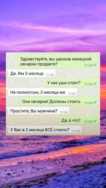 Ты точно не ожидал такого поворота! 🤯