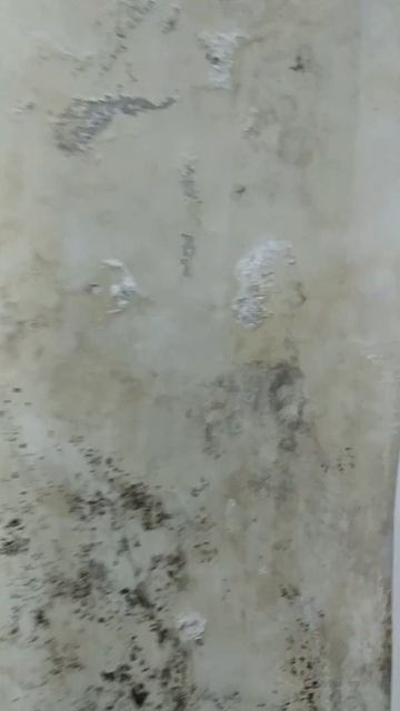 Круто протекает крыша Это просто пипец